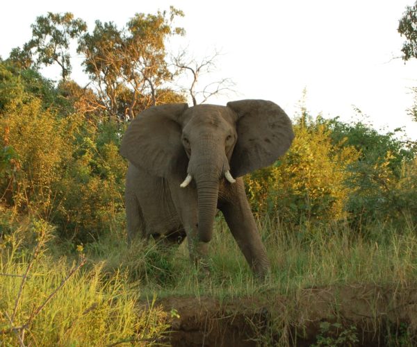 9-Day Incredible Mid-Range Tour To Zambia