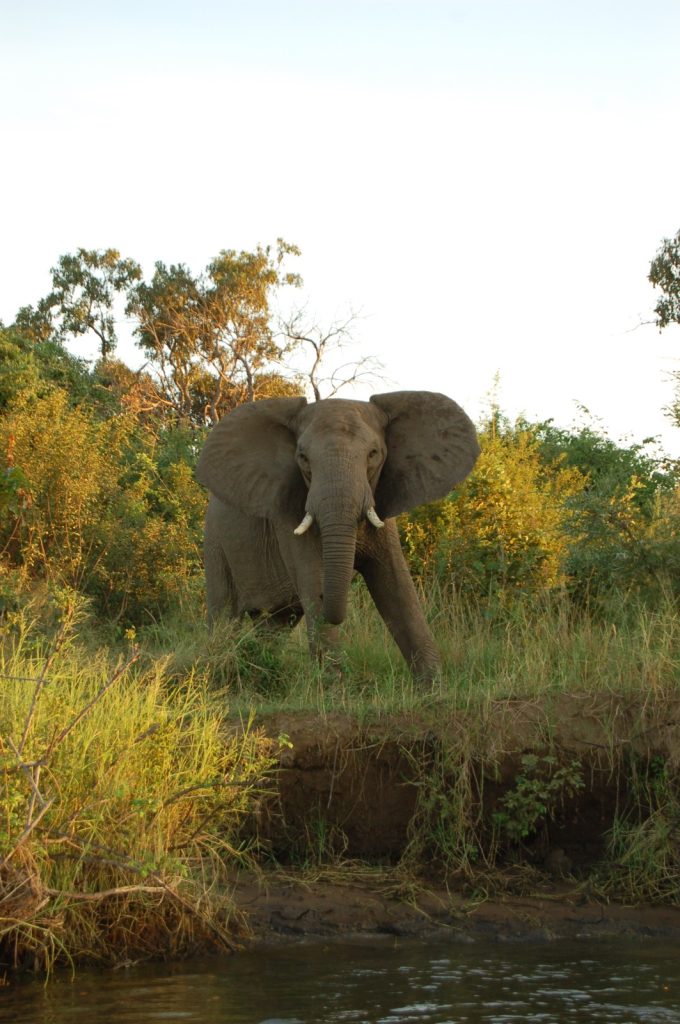 9-Day Incredible Mid-Range Tour To Zambia