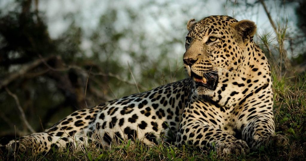 9-Day Incredible Luxury Tour To Zambia