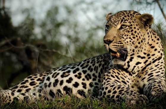9-Day Incredible Luxury Tour To Zambia