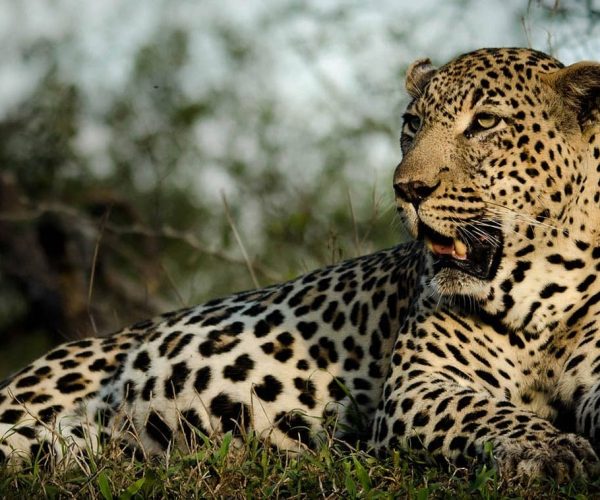 9-Day Incredible Luxury Tour To Zambia