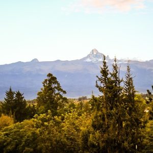 9-Day Mid-Range Mt Kenya Trekking And Thrilling Safari