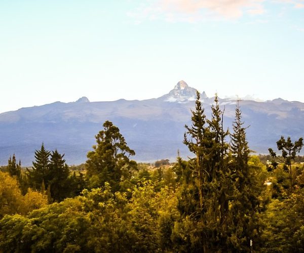 9-Day Mid-Range Mt Kenya Trekking And Thrilling Safari