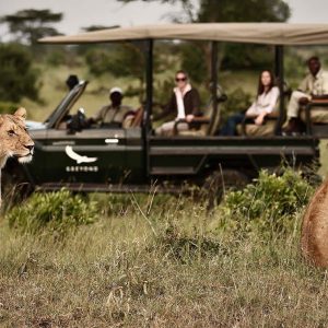 Northern Serengeti NP