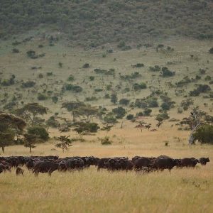 Northern Serengeti National Park