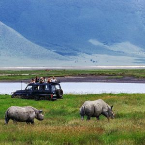 2-Day Thrilling Bujumbura & Rusizi National Park Tour, Botswana Walking Safaris