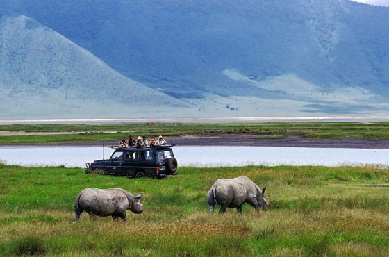2-Day Thrilling Bujumbura & Rusizi National Park Tour