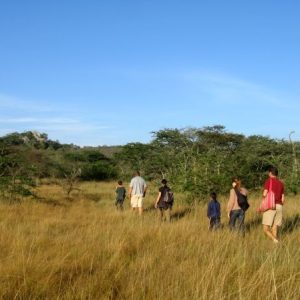 3-Day Thrilling Lake Mburo Budget Safari