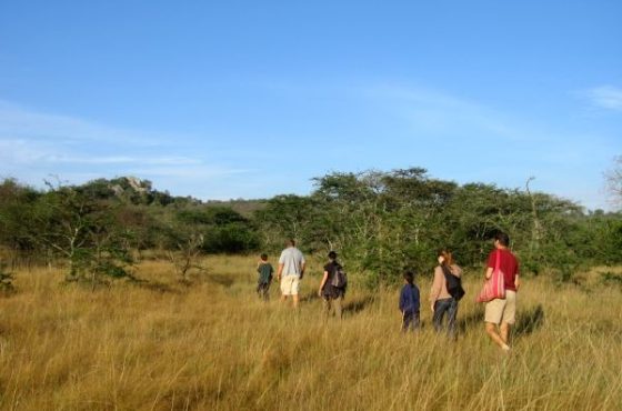 3-Day Thrilling Lake Mburo Budget Safari