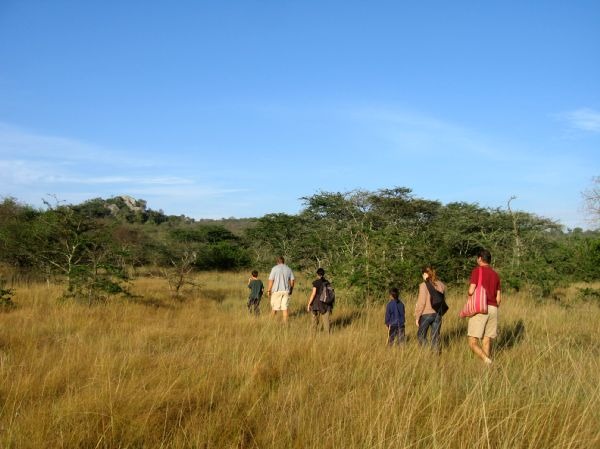 3-Day Thrilling Lake Mburo Budget Safari